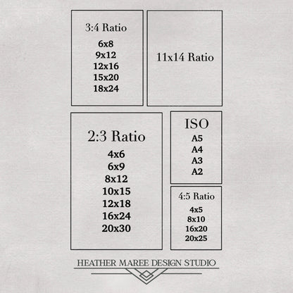 A Snowy Forest Landscape
