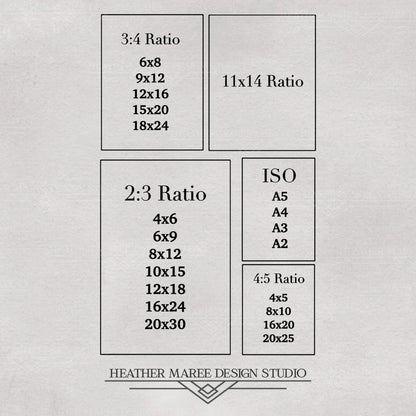 Black and Beige Antique Roses