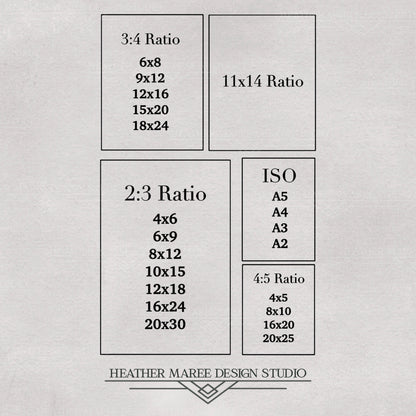 Brown Forest Mushrooms