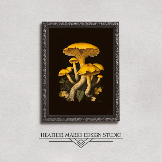 Yellow Chanterelle Mushrooms