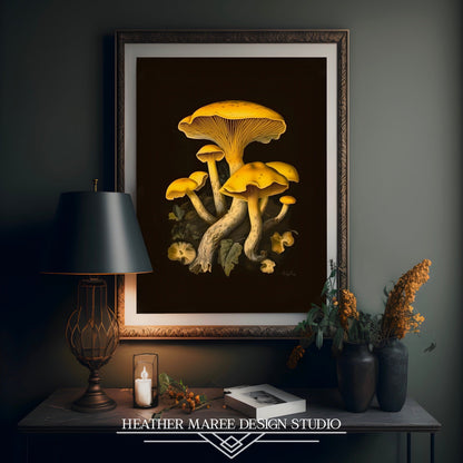 Yellow Chanterelle Mushrooms