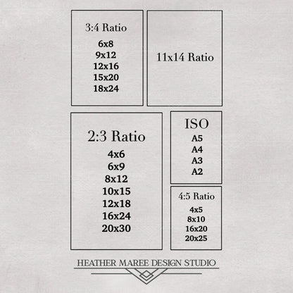 Blue Butterfly with Red Carnations