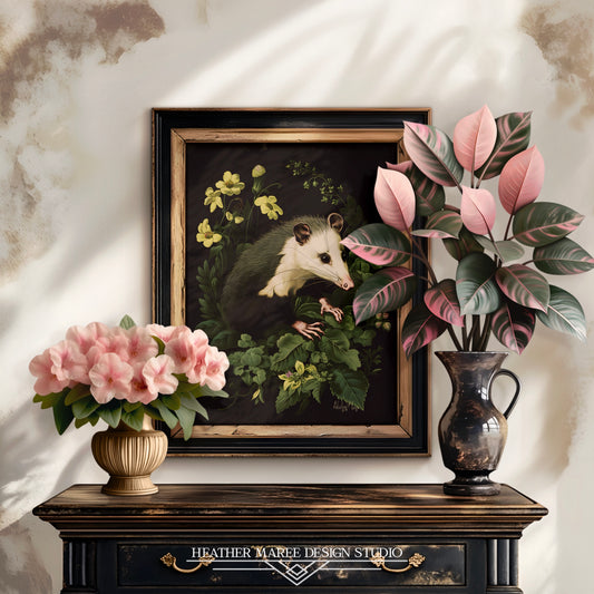 Opossum’s Secret Sanctuary