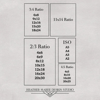 Black Cat with Books