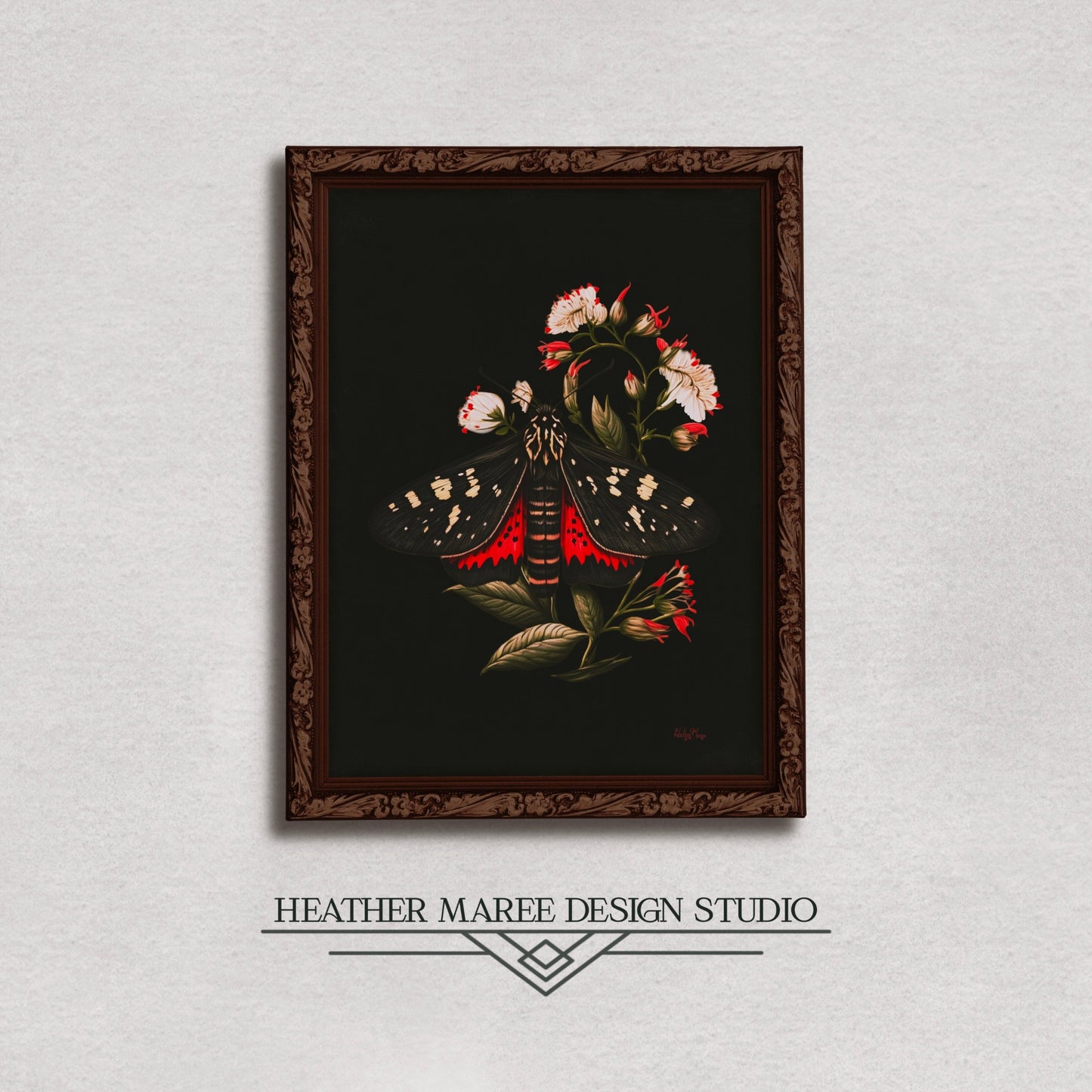 Black and Red Moth Amongst Flowers