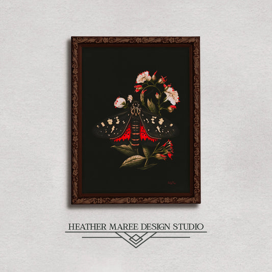 Black and Red Moth Amongst Flowers