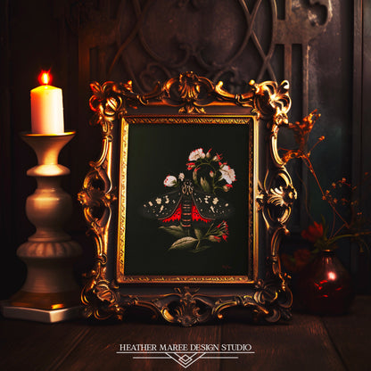 Black and Red Moth Amongst Flowers