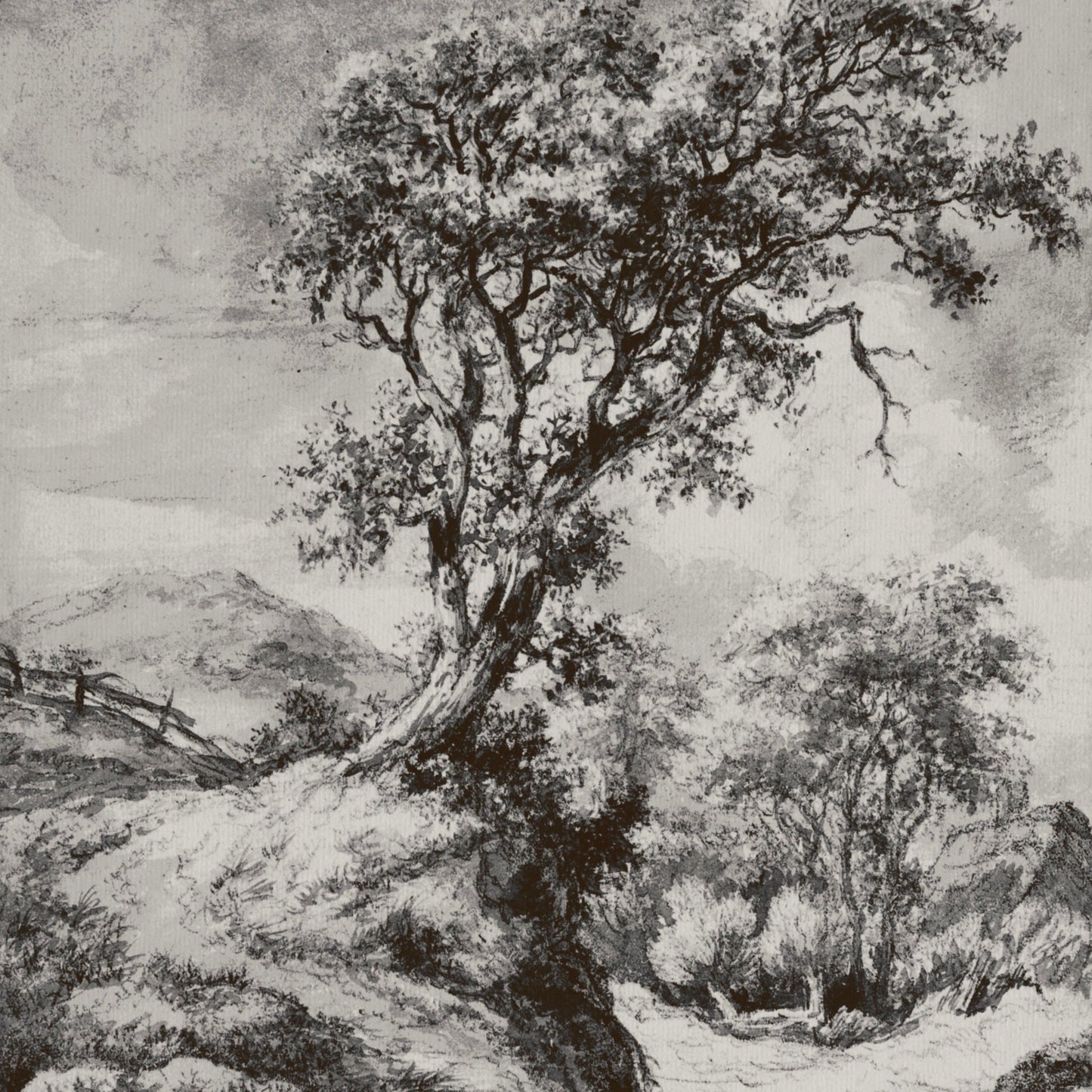 Dune Landscape with Oak Tree