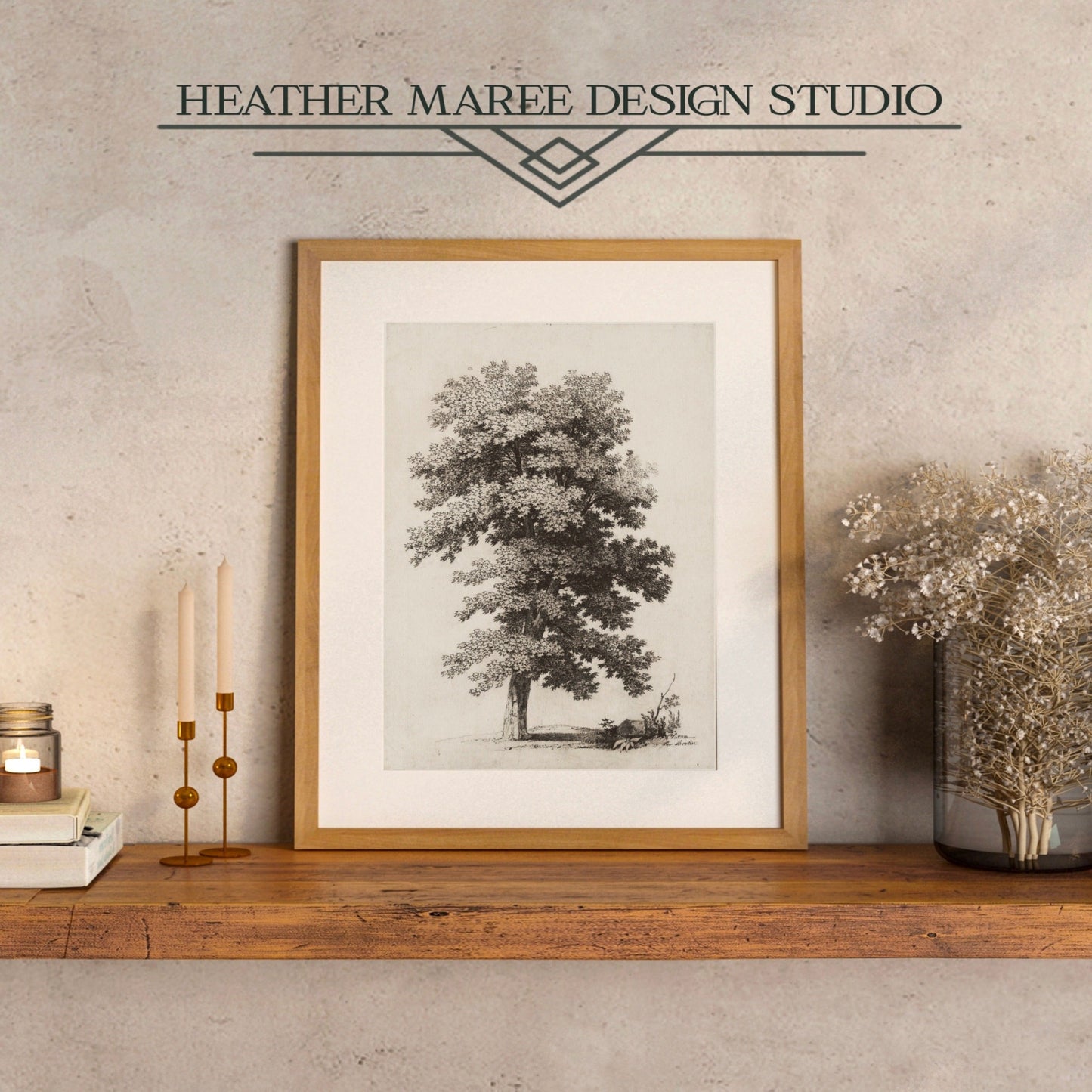 A Plane Tree Vintage Sepia Sketch