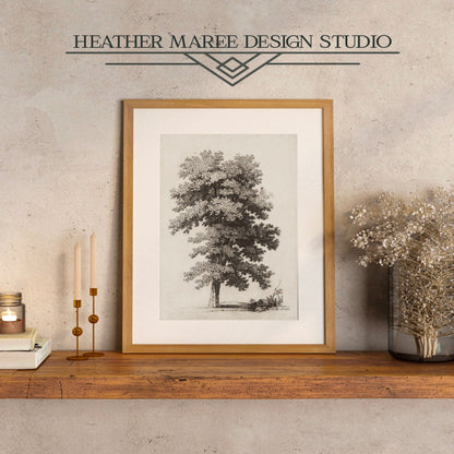 A Plane Tree Vintage Sepia Sketch