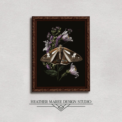 Brown Moth with Purple Flowers