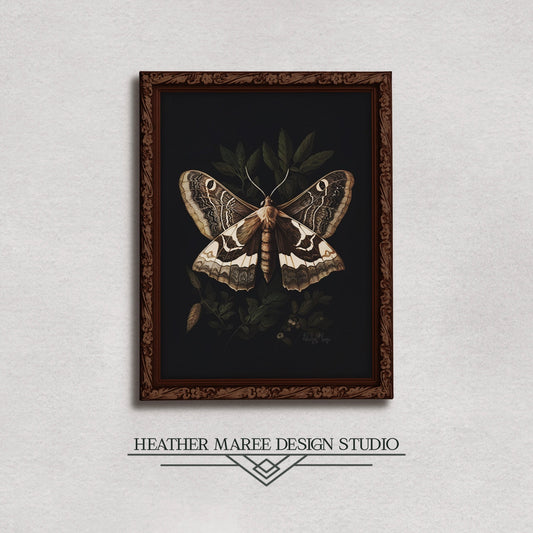 Brown Moth Perched on Leaves