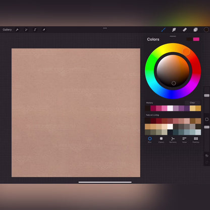 Modern Boho Color Palette
