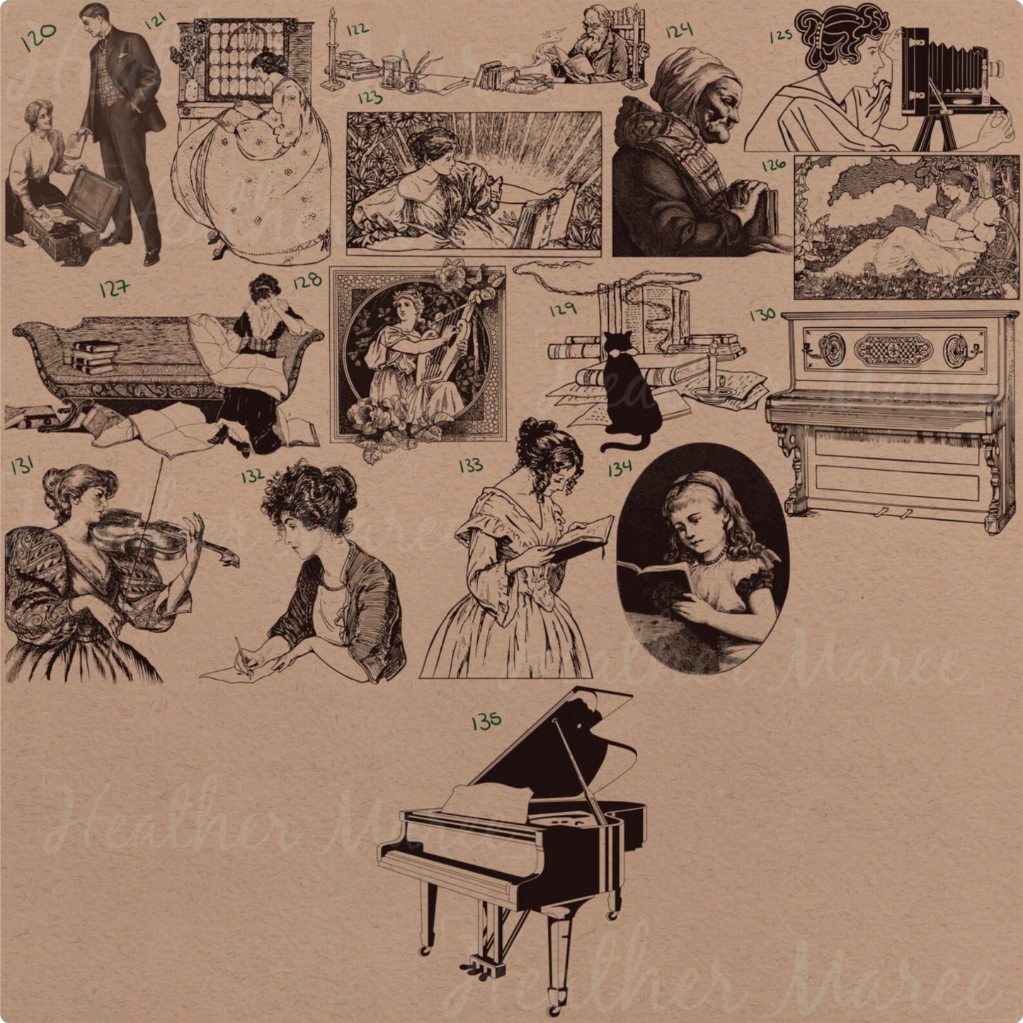 Vintage Dark Academia | Procreate Stamp Brushes