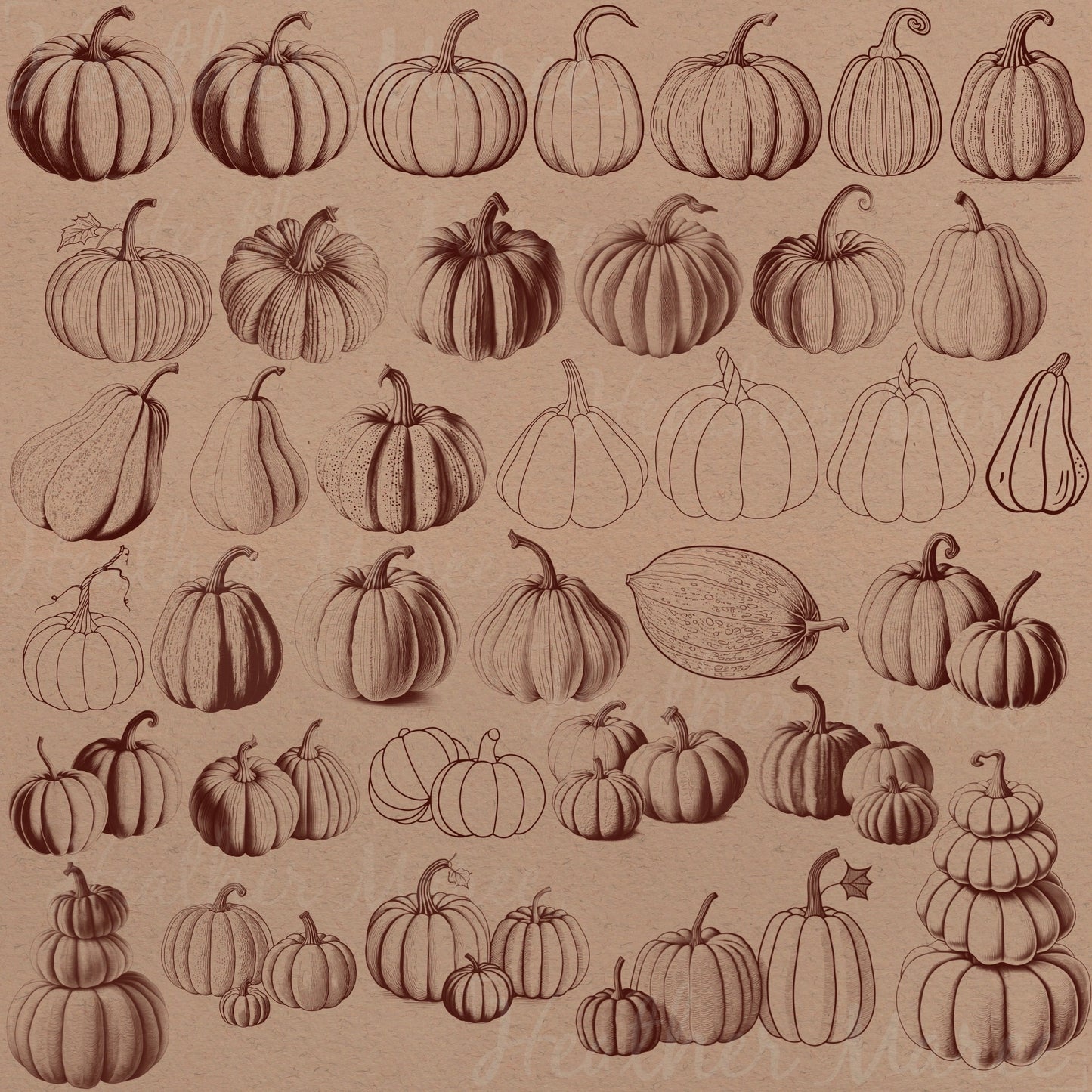 Autumn Pumpkins | Procreate Stamp Brushes