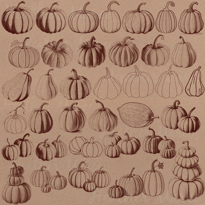 Autumn Pumpkins | Procreate Stamp Brushes